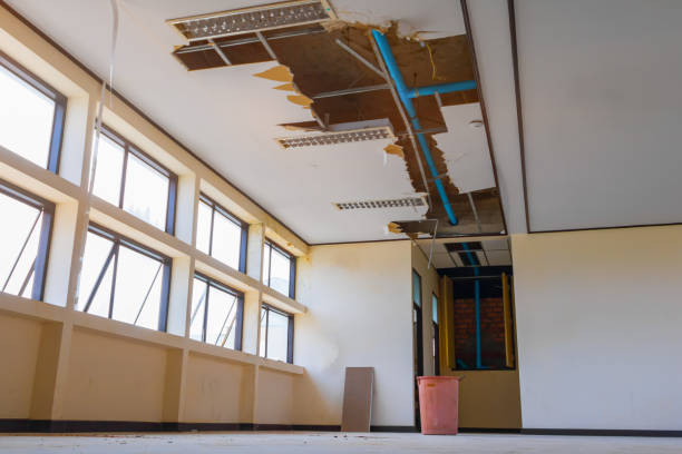 Best Carpet water damage restoration  in Mattoon, IL