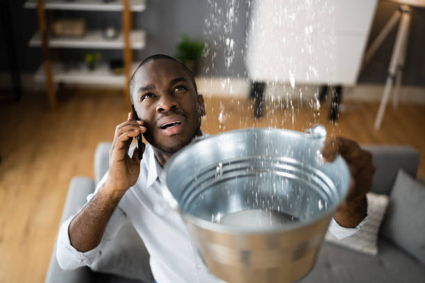 Best Flooded house restoration  in Mattoon, IL