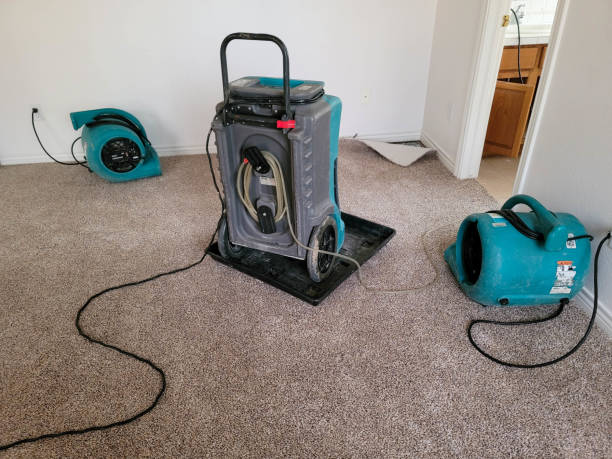 Best Water damage cleanup near me  in Mattoon, IL