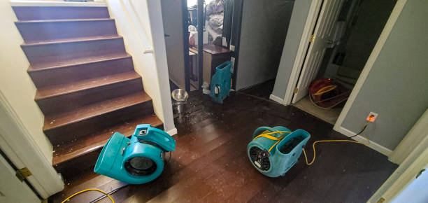 Best Emergency water damage restoration  in Mattoon, IL