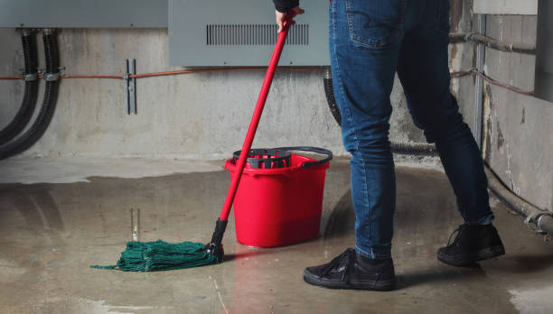 Best Local water damage restoration  in Mattoon, IL