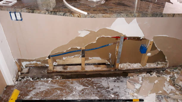 Best Flooded house restoration  in Mattoon, IL