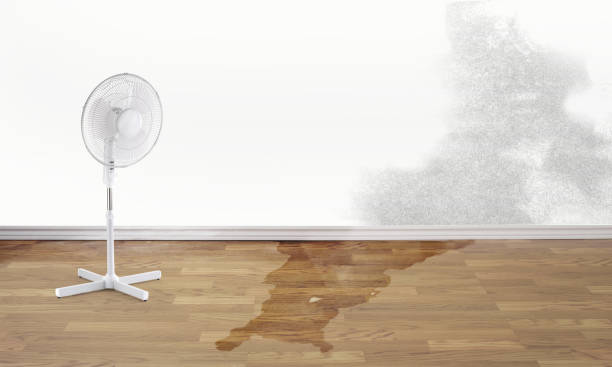Best Water damage restoration near me  in Mattoon, IL