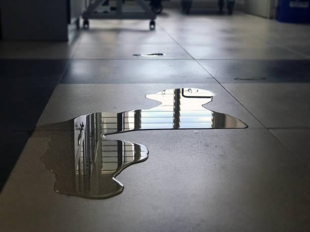 Best Water damage cleanup near me  in Mattoon, IL