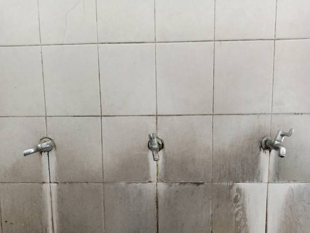 Best Mold removal after water damage  in Mattoon, IL