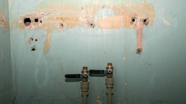 Best Sewage cleanup and water damage restoration  in Mattoon, IL