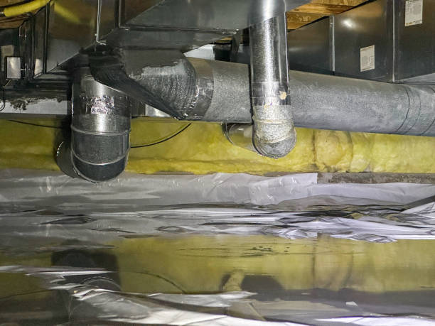 Best Flood damage cleanup  in Mattoon, IL