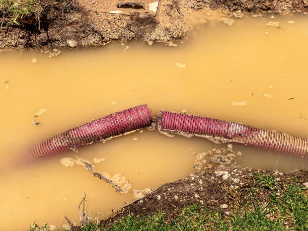 Best Flood damage cleanup  in Mattoon, IL