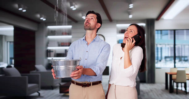  Mattoon, IL Water damage restoration Pros
