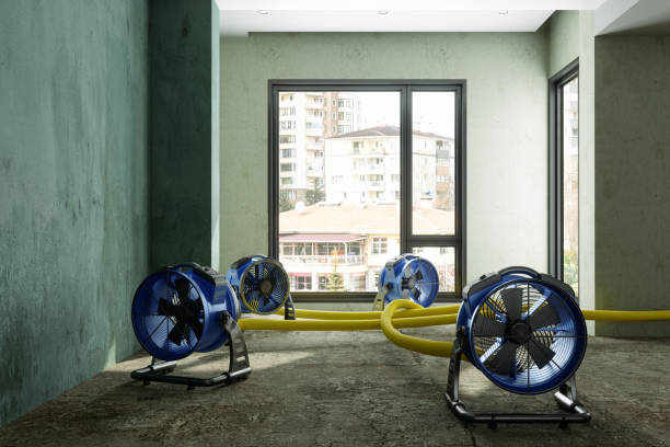 Best Ceiling water damage repair  in Mattoon, IL
